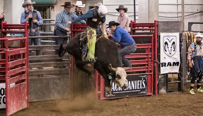 Gravity Defied at the Franklin Rodeo - Tennessee Star