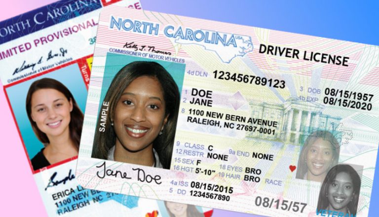 Driver's License Archives - Tennessee Star