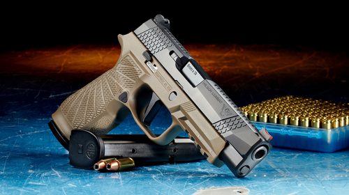 Hand gun with ammunition