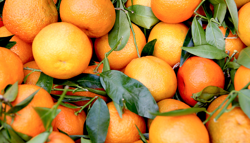 Close up of oranges