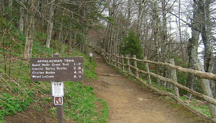 Appalachian Trail at Newfound Gap