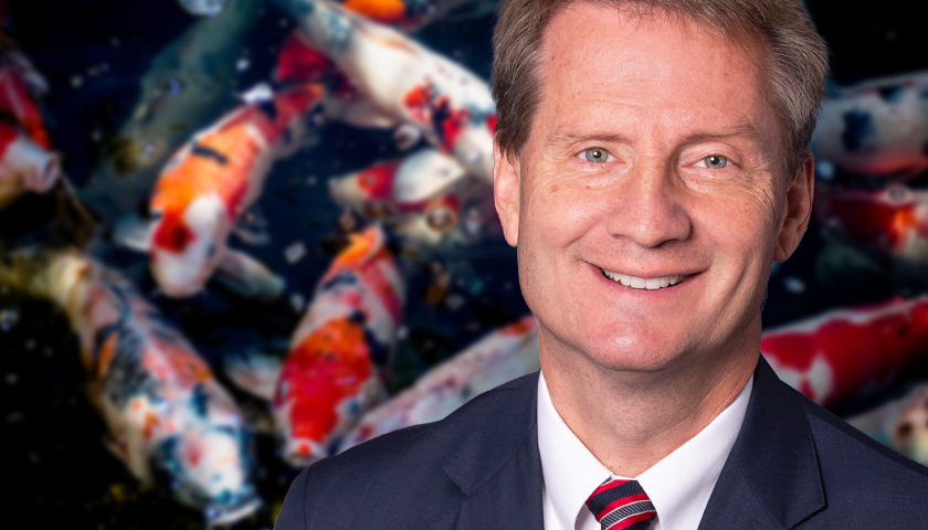 Official photo of freshman Rep. Tim Burchett of Tennessee's 2nd district from the 116th Congress