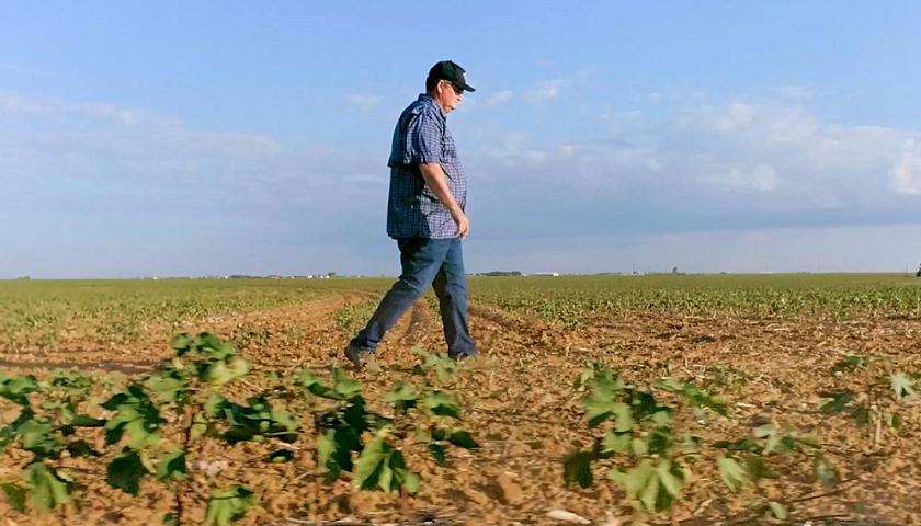 Texas Farmer in field