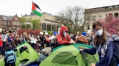 Palestine Protest at UW