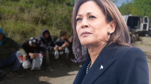Kamala Harris Border