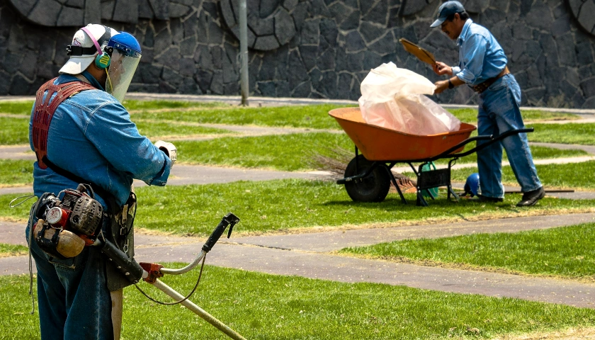 Lawn maintenance workers