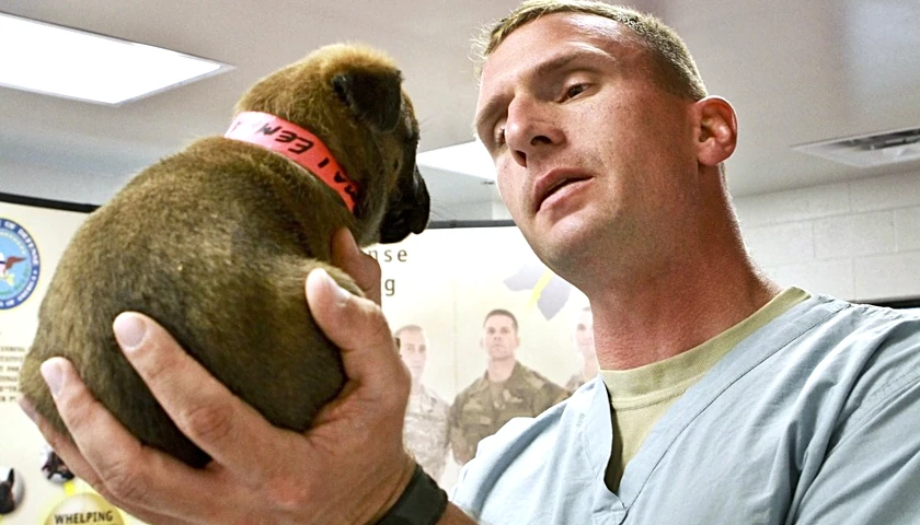 Veterinarian