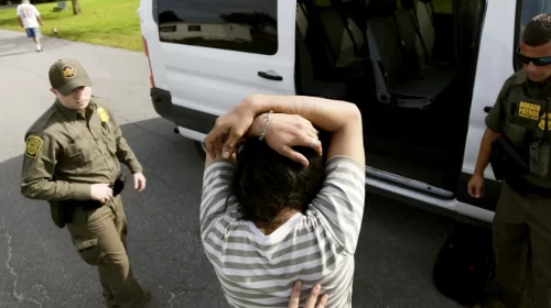 illegal immigrant