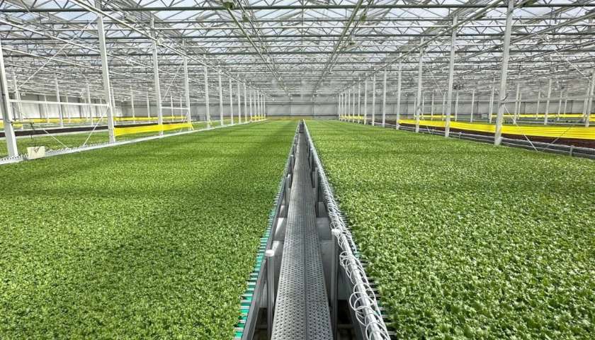 LLF Facility