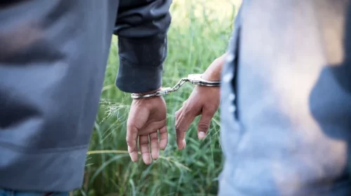 CBP arrest