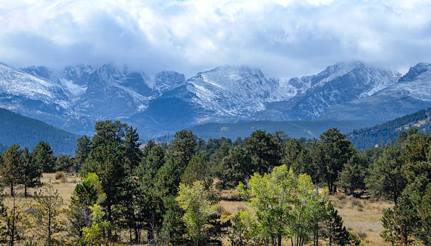 Wild Colorado