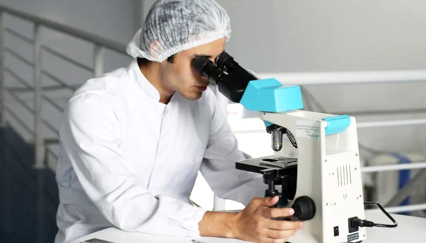 Lab