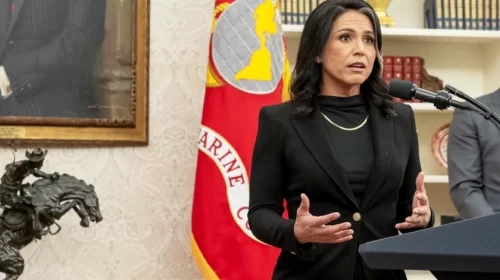 Tulsi Gabbard