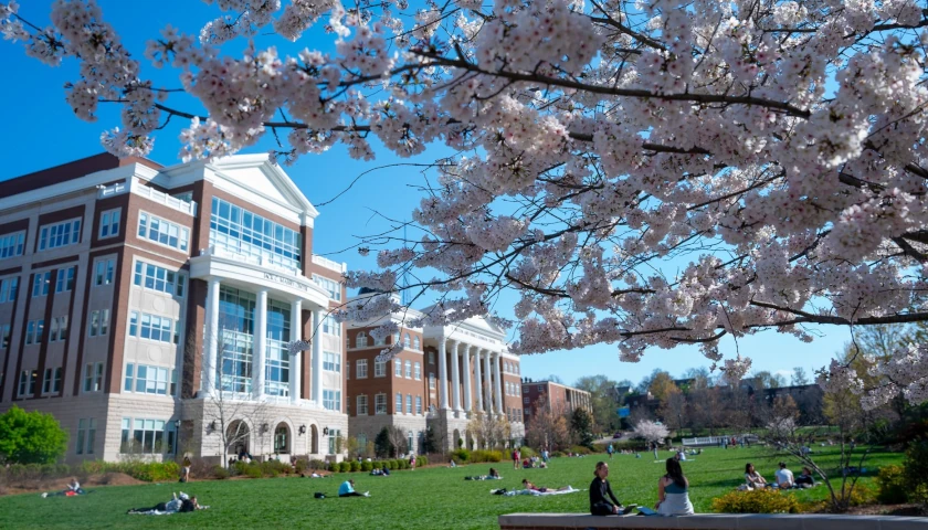 Belmont University