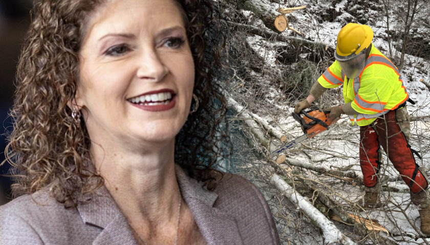 Teresa Broyles-Aplin, tree cleanup