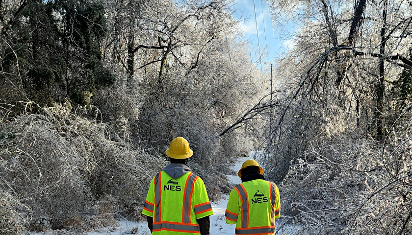 NES Trees Down