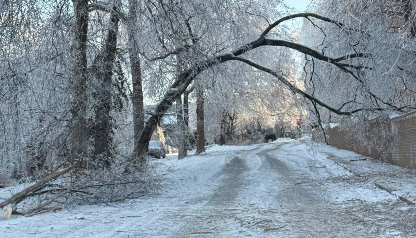 Storm damage