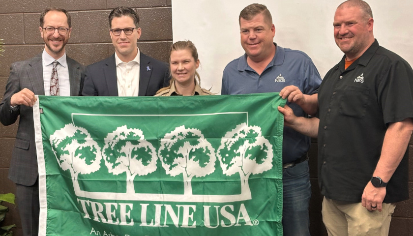 Treeline Award 2025