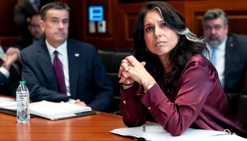 Tulsi Gabbard