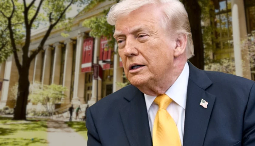 Trump harvard