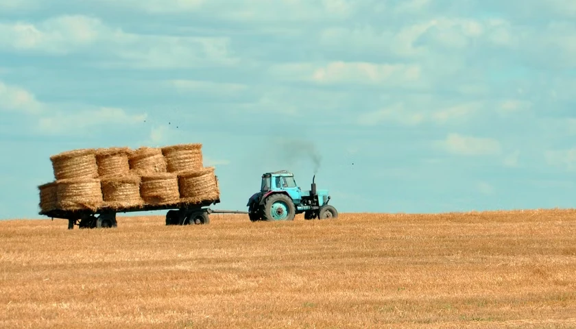 farmer