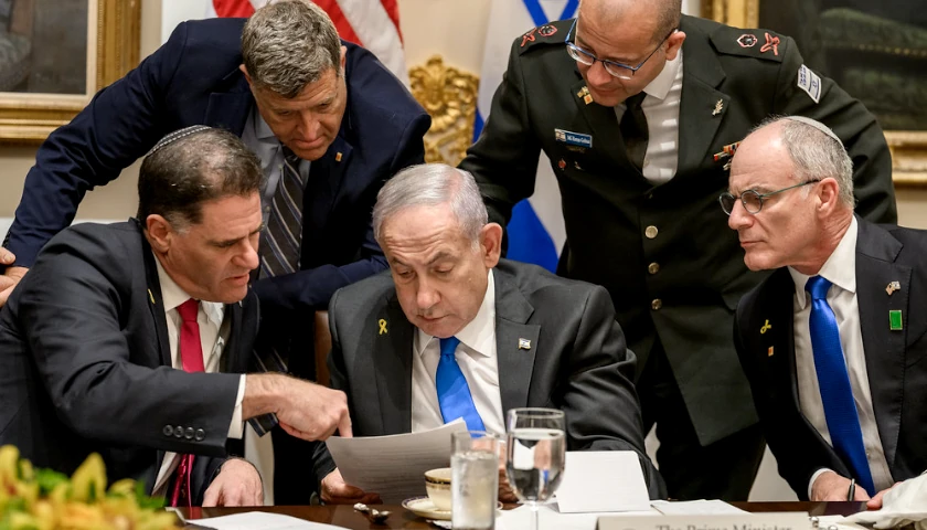 Bibi America