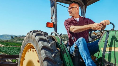 farmer