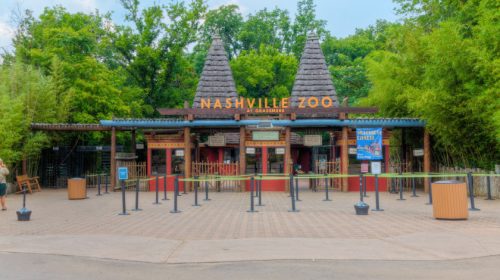 Nashville Zoo