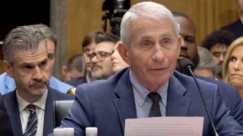 Fauci Testimony