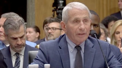Fauci hearing