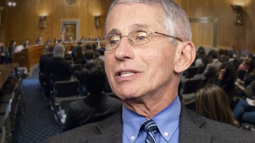 Anthony Fauci