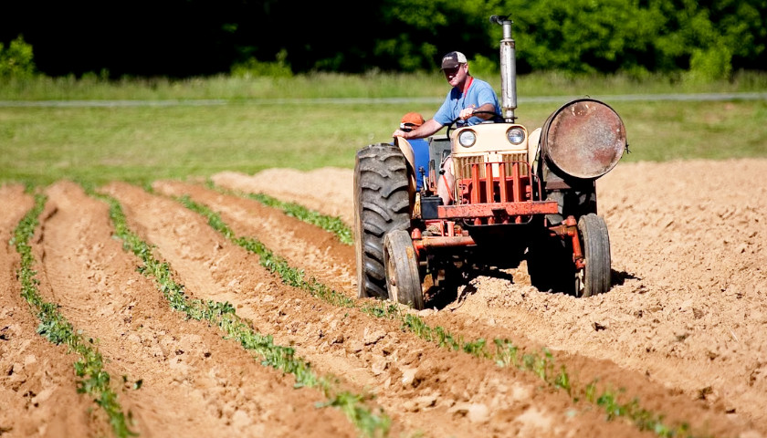 farmer worker