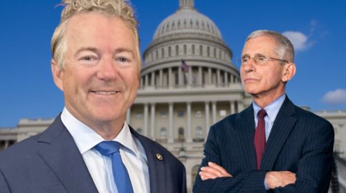Rand Paul and Fauci