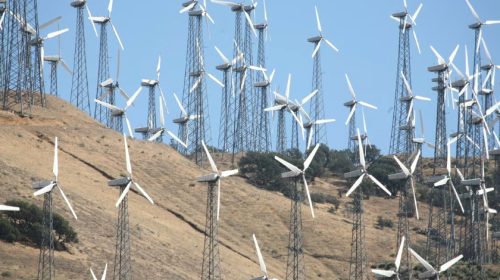 wind mills