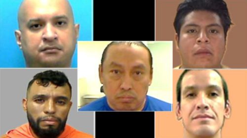 Richard Hugh Hoppin, Jose Gabriel Mis-Catzim, Margarito Rosales-Altamira, Yovani Moreno-Gachuz, Alejandro Bravo-Adasme
