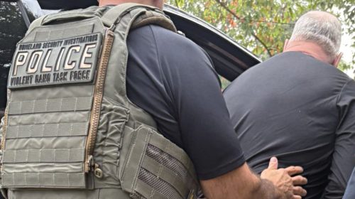 David Kerr arrested by HSI
