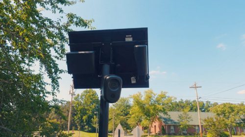 Flock Camera