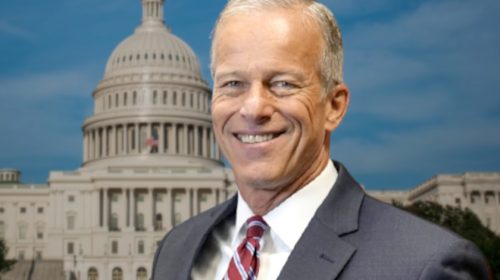 John Thune