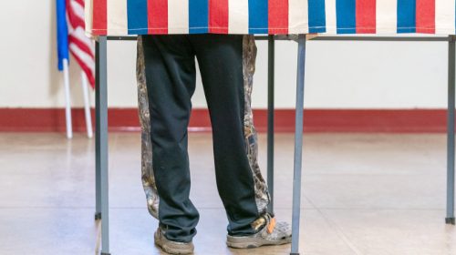voter