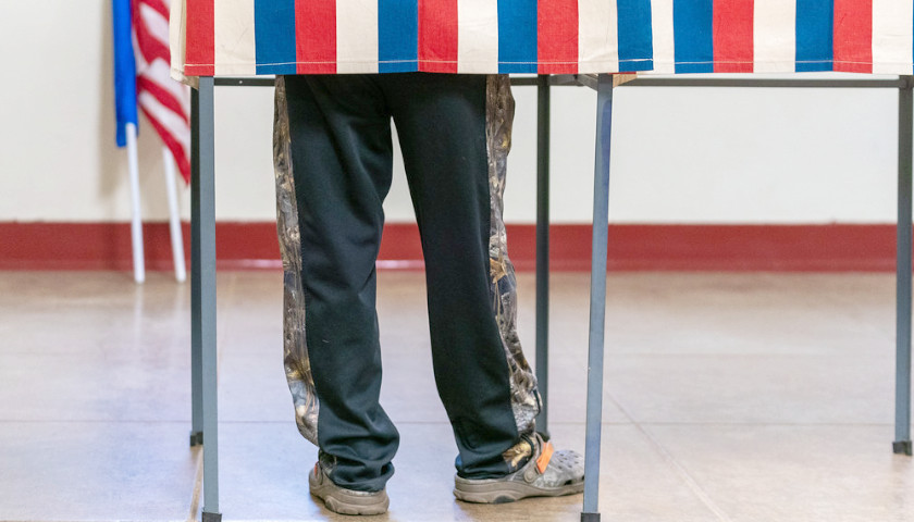 voter