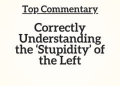 Top Commentary: Correctly Understanding the ‘Stupidity’ of the Left