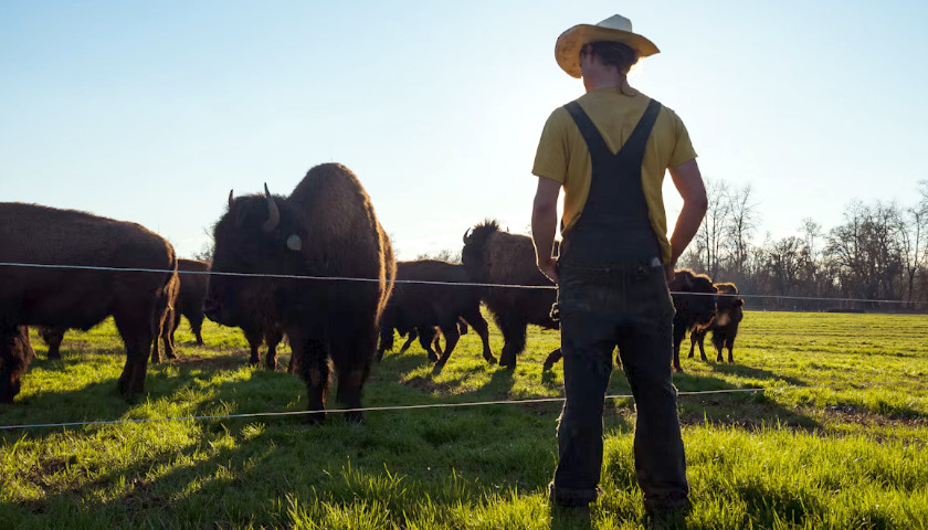 American farmer