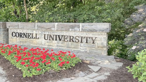 Cornell