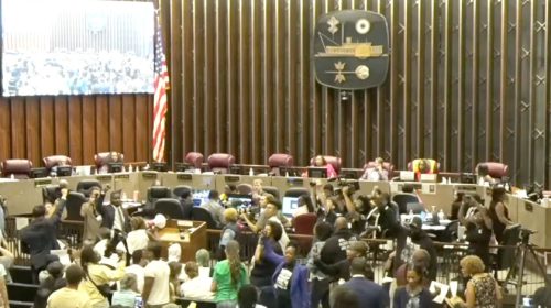 Memphis City Council Protest