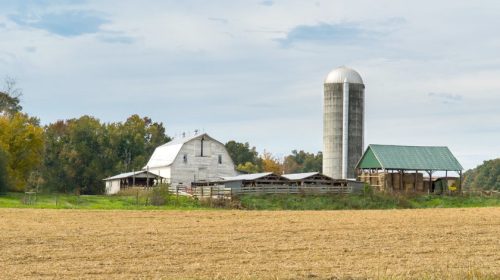 rural America
